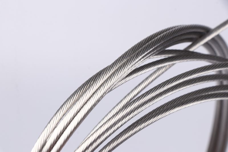 Stainless Steel Cabl